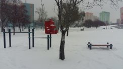Площадка для воркаута в городе Пермь №5983 Средняя Хомуты фото
