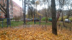 Площадка для воркаута в городе Солнечногорск №7805 Маленькая Советская фото