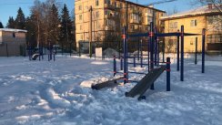 Площадка для воркаута в городе Санкт-Петербург №8243 Большая Хомуты фото