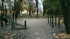 Площадка для воркаута в городе Таллин №9230 Маленькая Хомуты фото