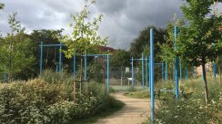 Площадка для воркаута в городе Копенгаген №9940 Большая Современная фото