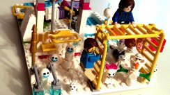 тренировка, День молодёжи г.Королев (Королев)