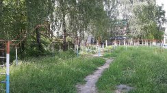 Площадка для воркаута в городе Орел №10795 Большая Советская фото