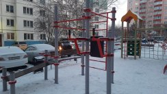 Площадка для воркаута в городе Новосибирск №12221 Маленькая Хомуты фото