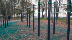 Площадка для воркаута в городе Сергиев Посад №12668 Средняя Хомуты фото