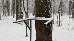 Площадка для воркаута в городе Москва №2627 Маленькая Хомуты фото