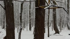 Площадка для воркаута в городе Москва №2627 Маленькая Хомуты фото