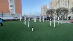 Площадка для воркаута в городе Москва №13083 Большая Современная фото