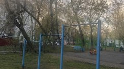 Площадка для воркаута в городе Москва №13113 Маленькая Советская фото