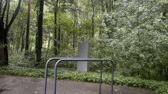 Площадка для воркаута в городе Москва №13169 Средняя Хомуты фото