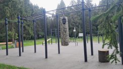 Площадка для воркаута в городе Сергиев Посад №13177 Средняя Хомуты фото