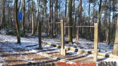 Площадка для воркаута в городе Бад-Нойенар-Арвайлер №3702 Средняя Советская фото