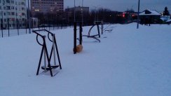 Площадка для воркаута в городе Домодедово №2636 Маленькая Советская фото