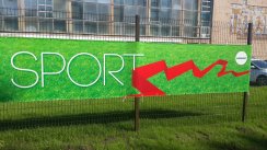 Ежегодная встреча дворовых спортсменов Рязани. (Рязань)