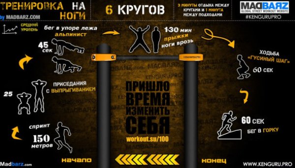 Тренировочные программы низкой, средней и высокой сложности!