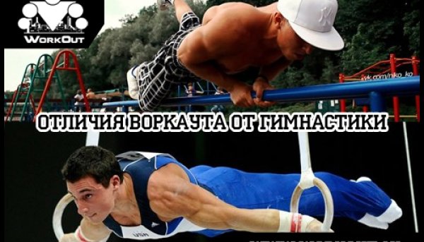 Отличия воркаута от гимнастики