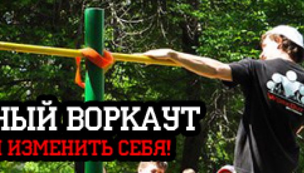 100-дневный воркаут 2016 (Весна)