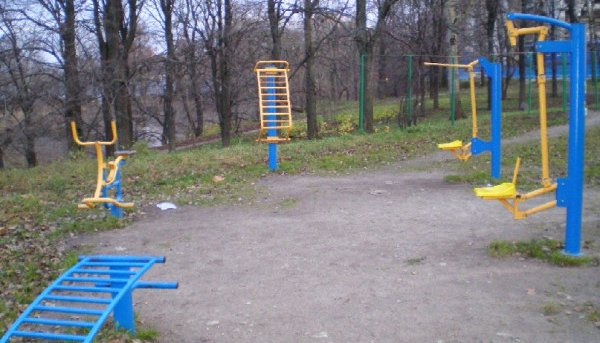 Площадка для воркаута в городе Санкт-Петербург №403 Средняя Советская фото