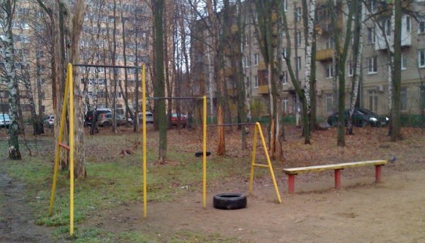 Площадка для воркаута в городе Красногорск №4604 Маленькая Советская фото