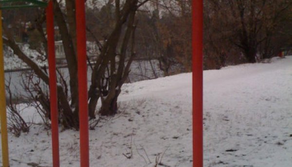 Площадка для воркаута в городе Москва №4599 Маленькая Советская фото
