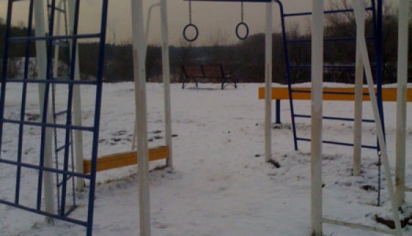 Площадка для воркаута в городе Москва №4601 Средняя Современная фото