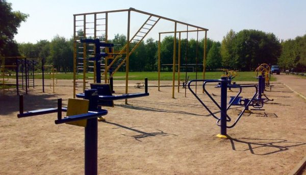 Площадка для воркаута в городе Черкассы №1246 Средняя Советская фото