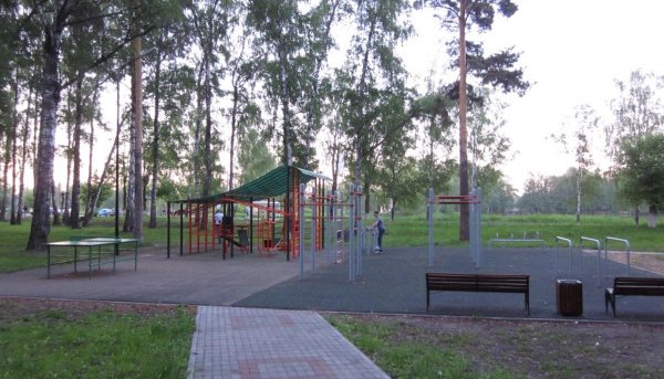 Площадка для воркаута в городе Электрогорск №2969 Средняя Современная фото