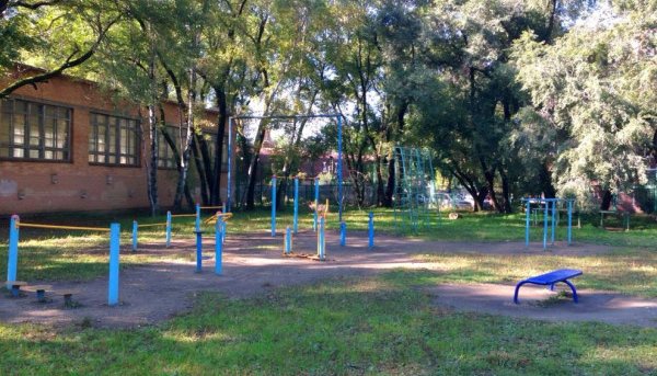 Площадка для воркаута в городе Владивосток №4341 Маленькая Советская фото