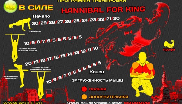 53 тренировочных программы для Начинающих, Продвинутых, Профессионалов и Мастеров