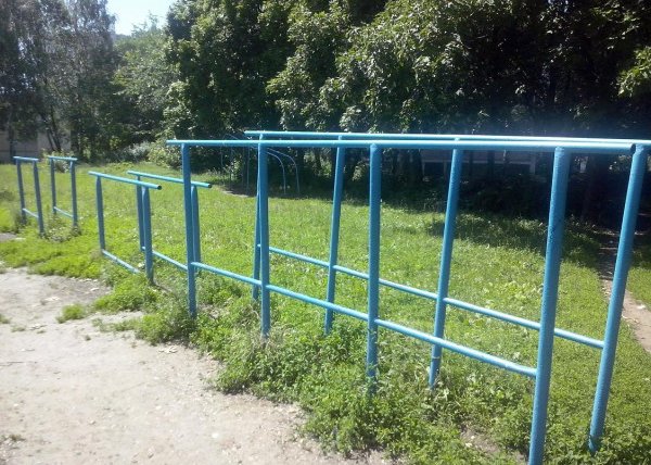 Площадка для воркаута в городе Рязань №2273 Большая Советская фото