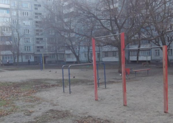 Площадка для воркаута в городе Запорожье №2611 Маленькая Советская фото