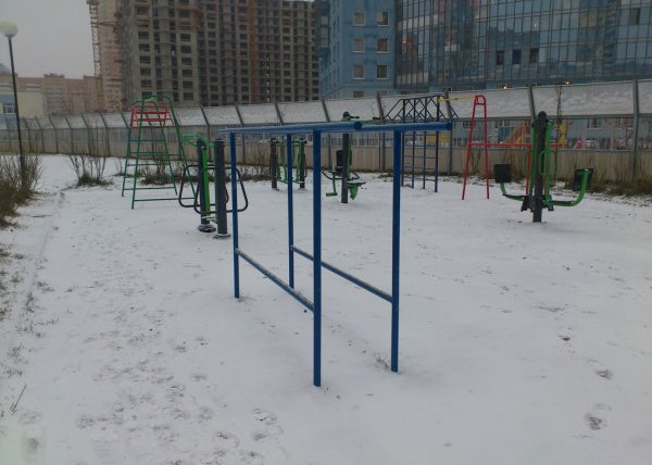 Площадка для воркаута в городе Санкт-Петербург №1979 Средняя Современная фото