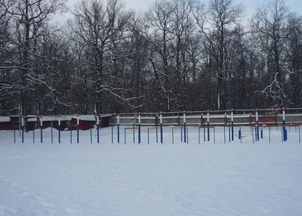 Площадка для воркаута в городе Пенза №426 Большая Советская фото