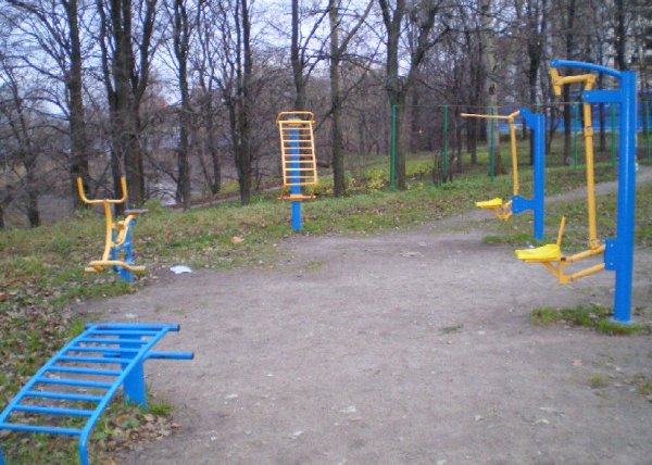 Площадка для воркаута в городе Санкт-Петербург №403 Средняя Советская фото