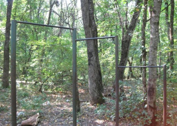 Площадка для воркаута в городе Ставрополь №1183 Средняя Советская фото