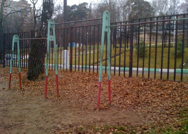 Площадка для воркаута в городе Красногорск №4559 Средняя Советская фото