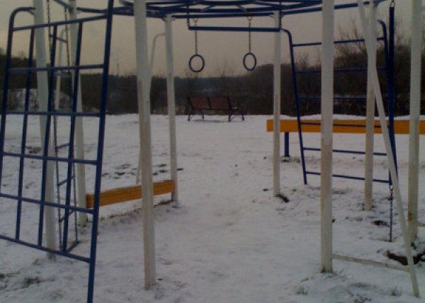 Площадка для воркаута в городе Москва №4601 Средняя Современная фото