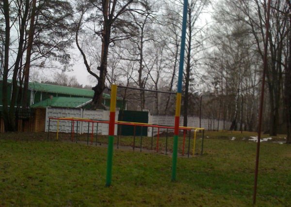 Площадка для воркаута в городе Красногорск №4693 Средняя Советская фото
