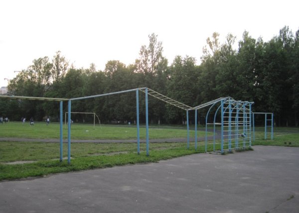 Площадка для воркаута в городе Лобня №2967 Большая Советская фото