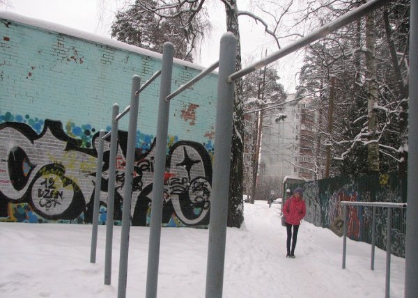 Площадка для воркаута в городе Королев №1424 Маленькая Советская фото