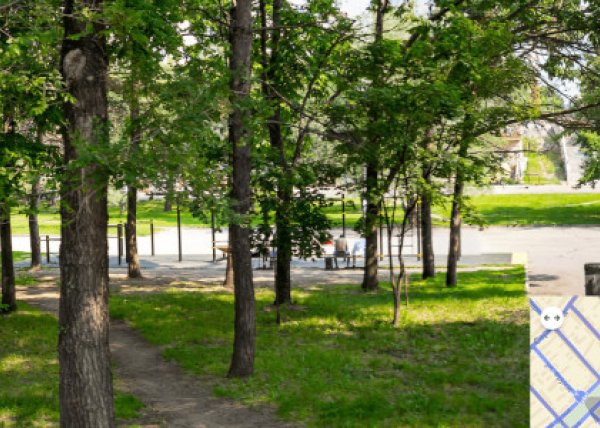 Площадка для воркаута в городе Хабаровск №5065 Средняя Хомуты фото