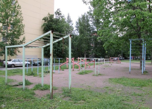 Площадка для воркаута в городе Санкт-Петербург №2973 Средняя Советская фото