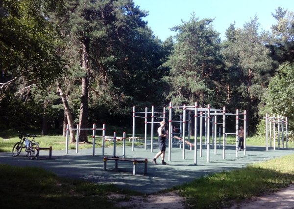 Площадка для воркаута в городе Москва №4062 Большая Хомуты фото