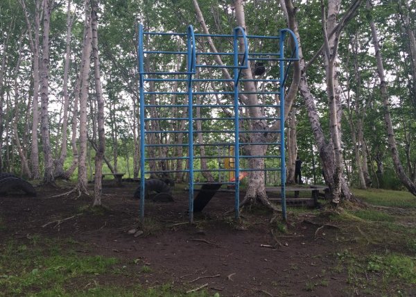 Площадка для воркаута в городе Петропавловск-Камчатский №5387 Маленькая Советская фото