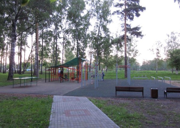 Площадка для воркаута в городе Электрогорск №2969 Средняя Современная фото