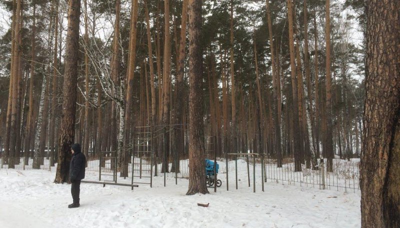 Площадка для воркаута в городе Екатеринбург №7259 Маленькая Советская фото