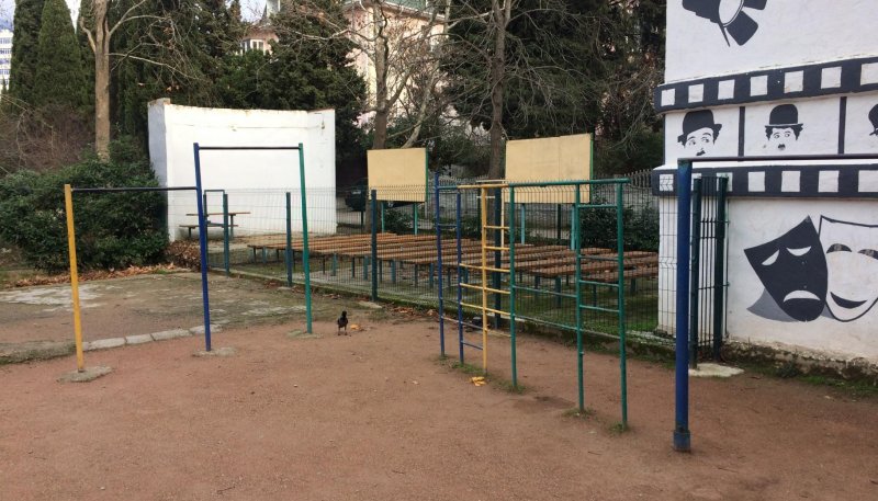 Площадка для воркаута в городе Ялта №8042 Маленькая Советская фото