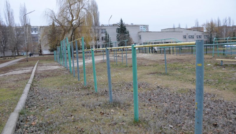 Площадка для воркаута в городе Курчатов №8078 Средняя Советская фото