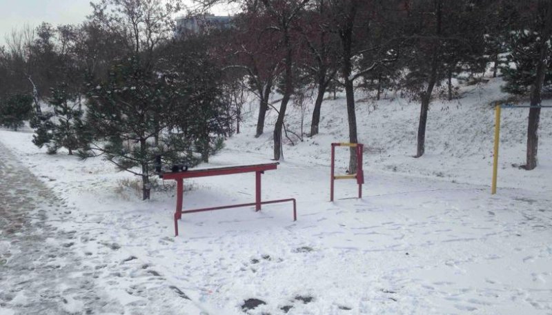 Площадка для воркаута в городе Одесса №8177 Маленькая Советская фото