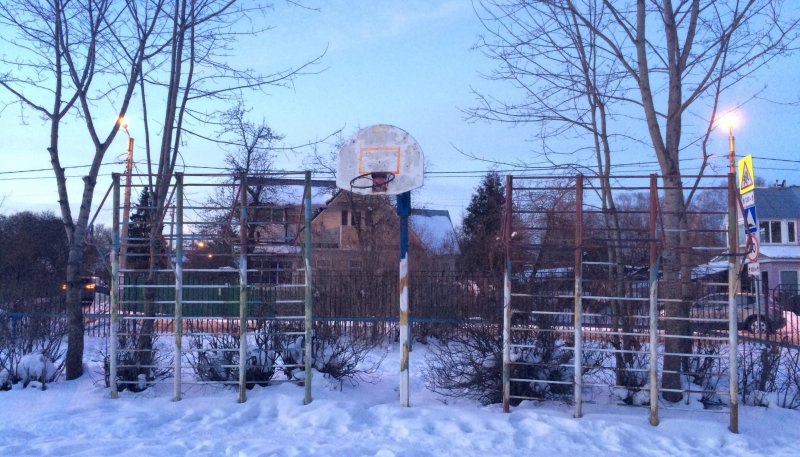 Площадка для воркаута в городе Павловск №8299 Средняя Советская фото